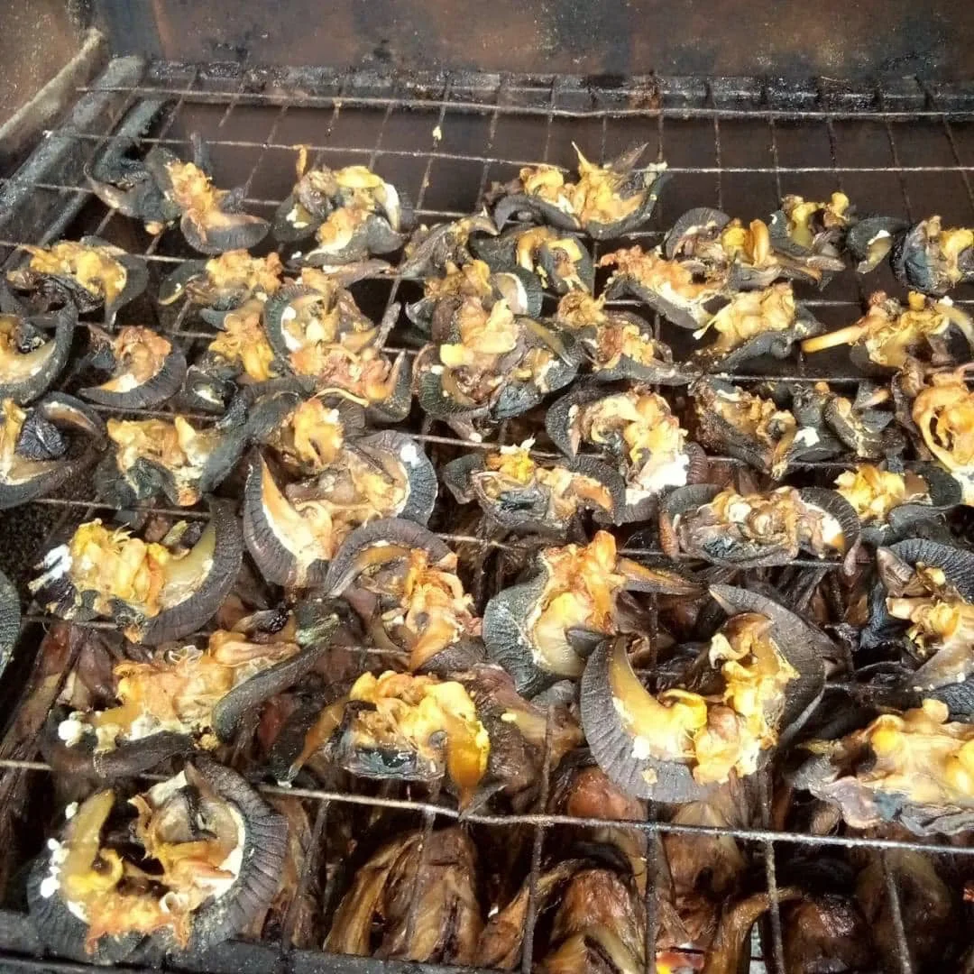 Giant African Land Snails for sale,High Quality Edible Snails Frozen,Dried ,Fresh Snails For sale