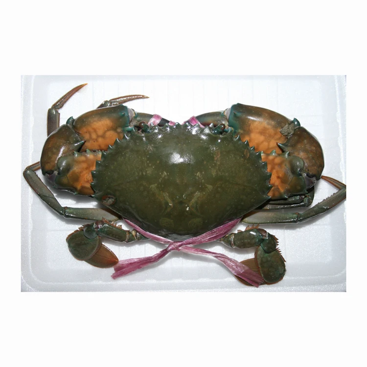 Оптовая продажа грязевой Краб/кокровый Краб/мясной краб