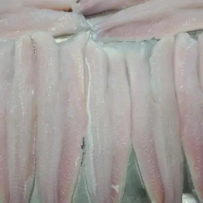 IQF SNACKEHEAD FISH WHOLE CLEAN - HIGH QUALITY CHEAP PRICE FROM VIETNAM