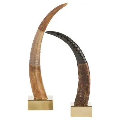 Buffalo Decorative Horn With Brass Base With High Polished Item Available In All Sizes Indian Buffalo Horn Decorate Item