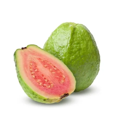 Bset Selling 100% Natural Fresh Yellow Green Nutrient Rich Quality Good Taste and Organic Guava