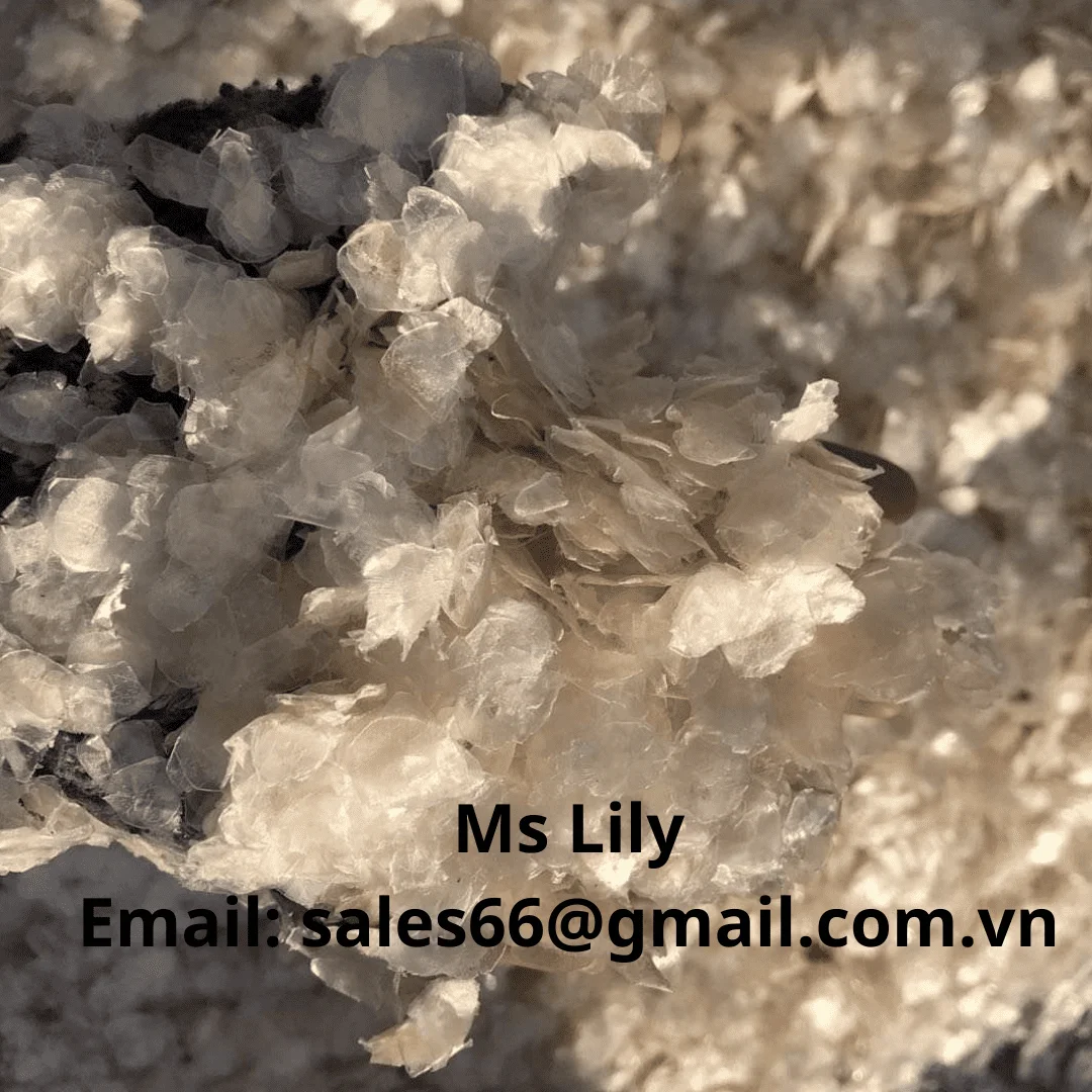 Sea Bass Fish Scales - Premium Quality Fish Scales From Vietnam - wholesale raw fish scales// Ms Lily +84 906927736