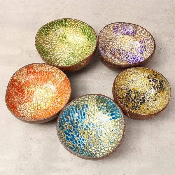 Made in Vietnam Natural ecofriendly lacquer coconut bowls vietnam handmade, cheap buying in large quantity