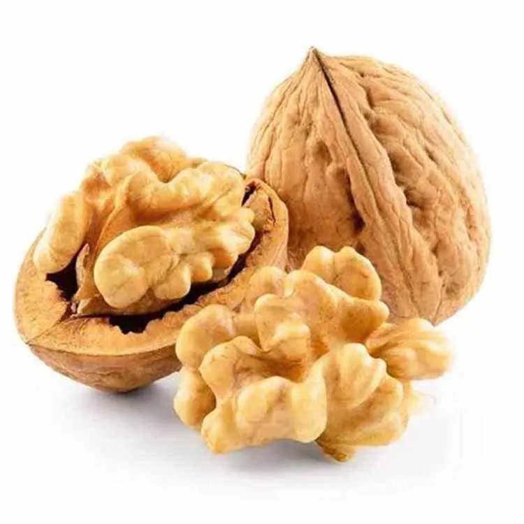 Customized Packaging Organic Bulk Nuts Walnuts Raw Walnut In Shell Walnuts Kernels Grade Sweet Taste