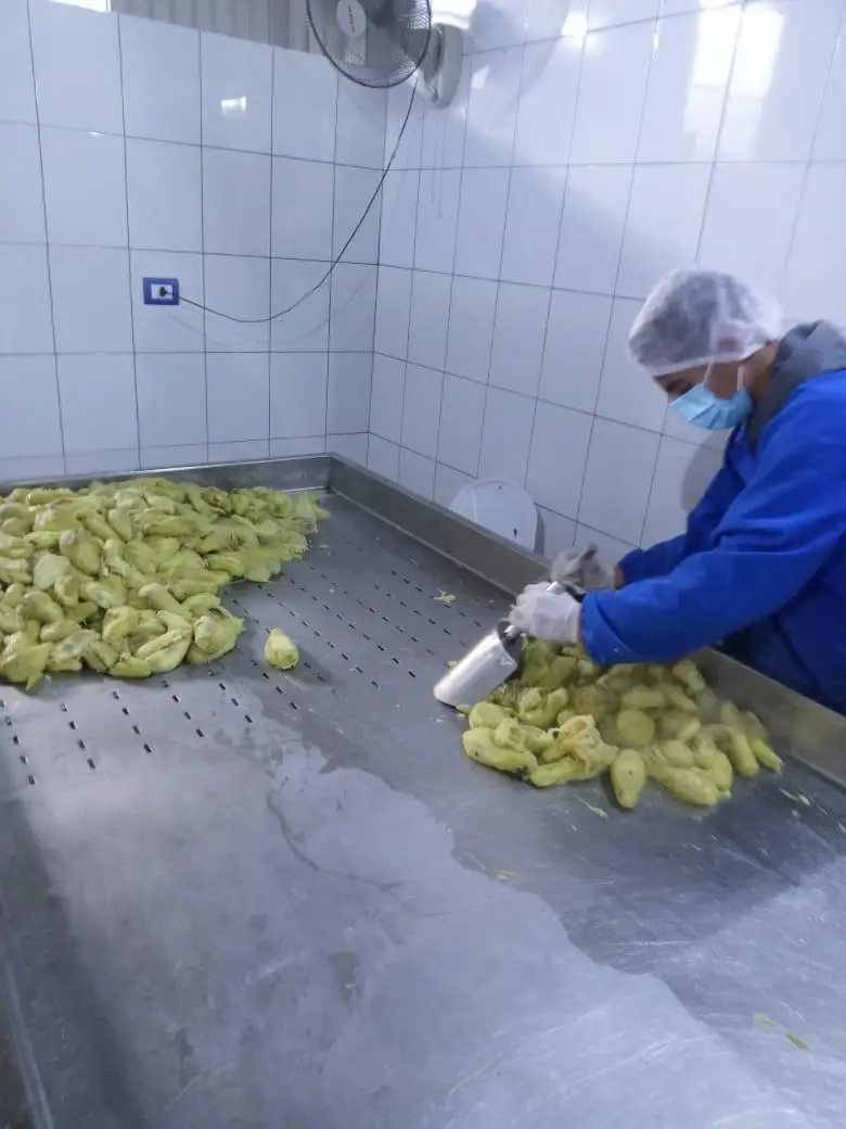 Вкусный естественный вкус свежего жареного баклажана