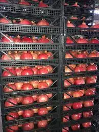 %100 NATURAL FRESH POMEGRANATE from TURKISH PRODUCER