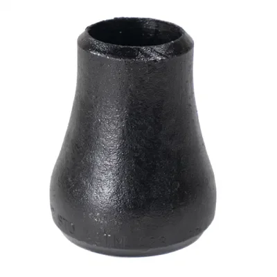 ASME B16.9 Carbon Black Stainless Steel Concentric Seamless Connector Butt Weld Welding Pipe Fitting Reducer