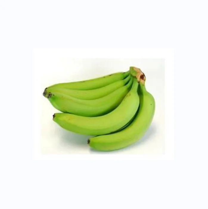 Organic Fresh Cavendish Bananas Deliciously Flavored Green Bananas in Bulk High Quality with Competitive Price