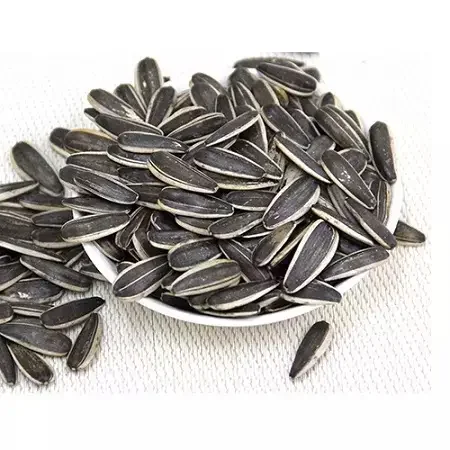 Natural Black Original Flavor Sunflower Seeds at cheap price nm