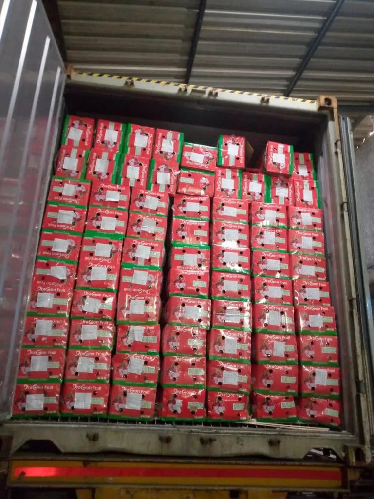 Hot Sale  Fresh Dragon Fruit High Quality 100% Organic Natural Sweet White Flesh Dragon