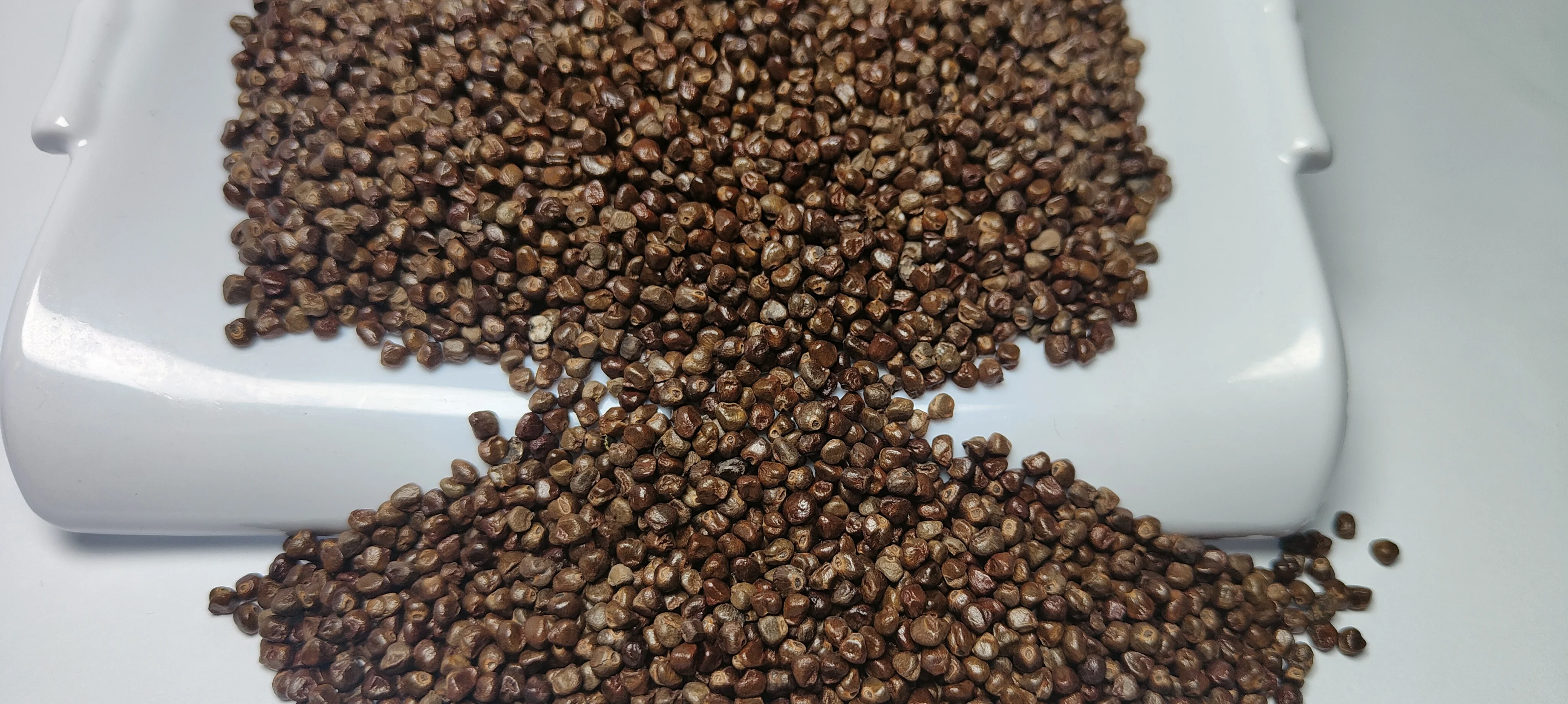 Cardamom Seed DP-11.jpg