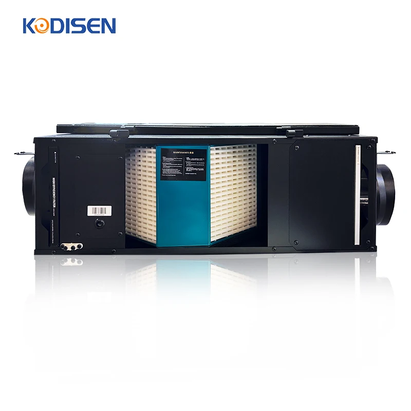 HEPA Filter Forced Air Ventilation system Ceiling Type Fresh Air Ventilation Unit Positive Intake Air to Home