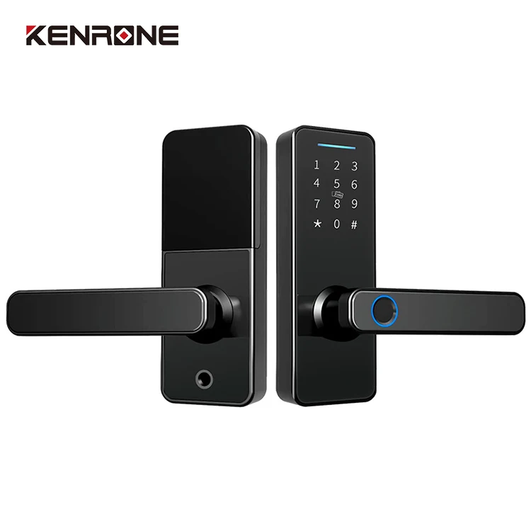 High Security Anti Theft Smart Door Lock  Blue Tooth Ttlock Electronic Fingerprint Smart Lock