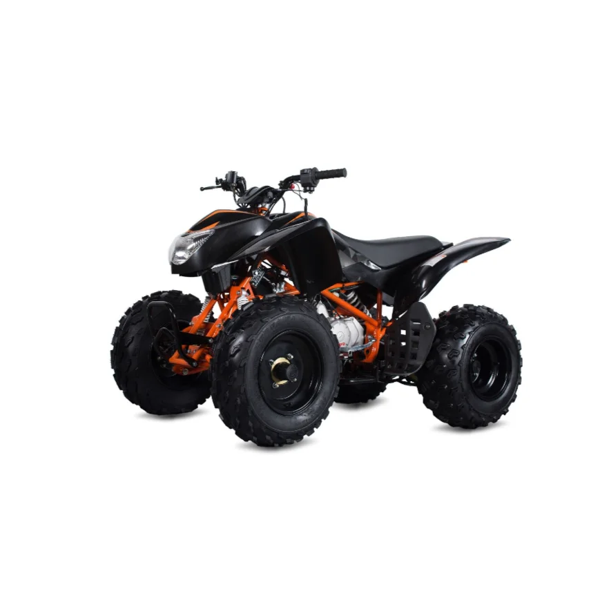 Квадроцикл 250CC горный Quadbike 4-х тактный 1200W 48V ATV велосипед, способный преодолевать Броды для продажи