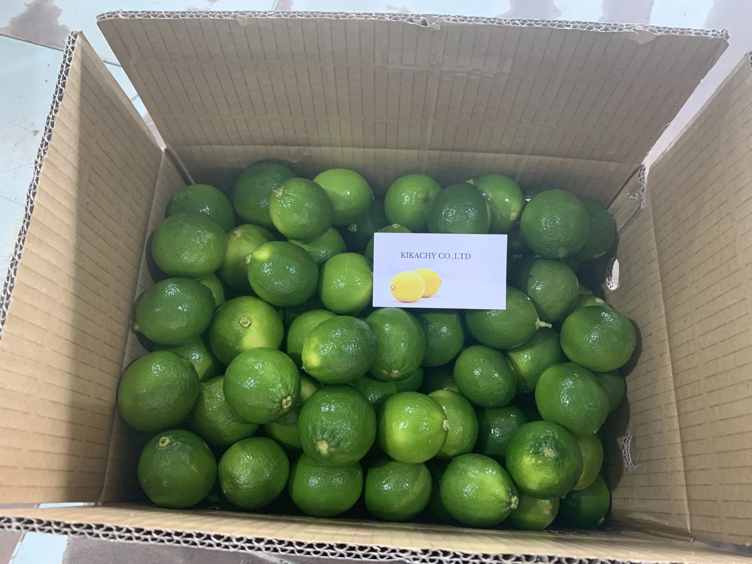 Wholese High Quality New Harvest SEEDLESS LIME LEMON From Viet Nam