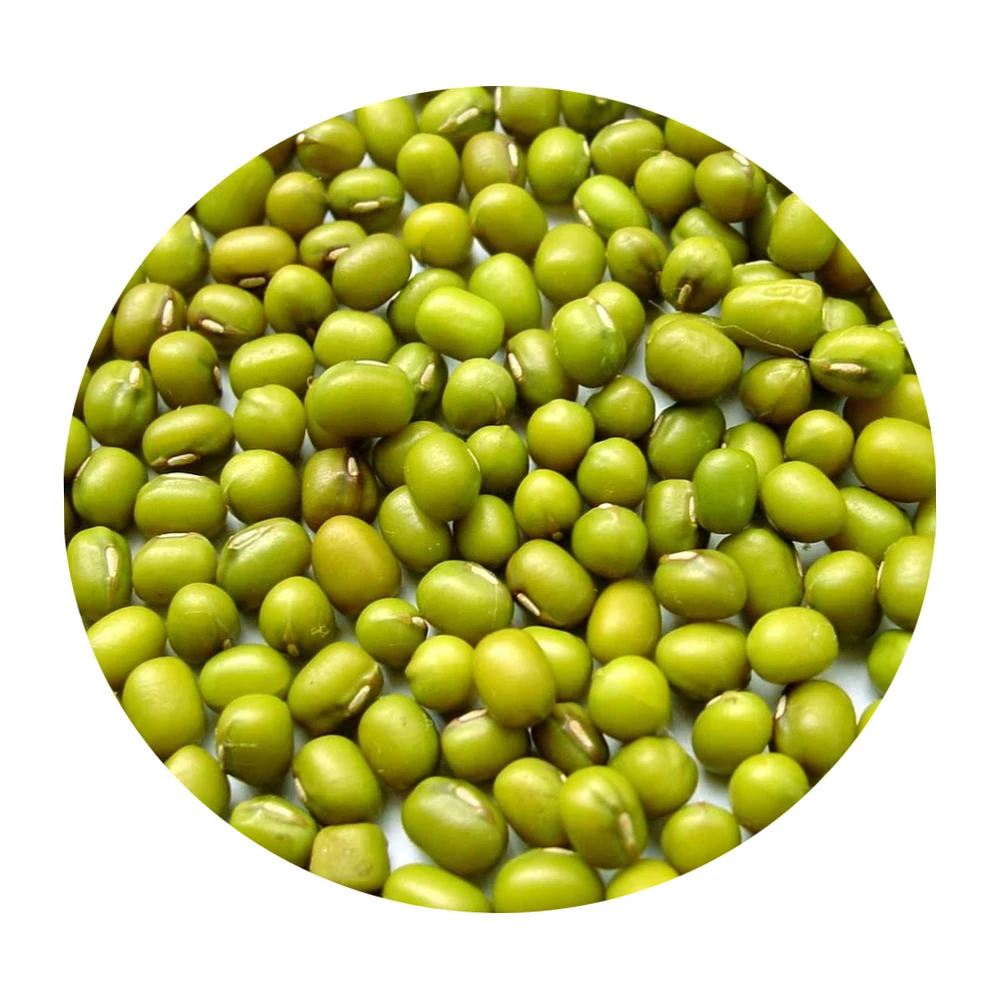 High quality Wholesale Natural Bulk Big Mung Beans from Uzbekistan Non-GMO Mash Beans Mung for food