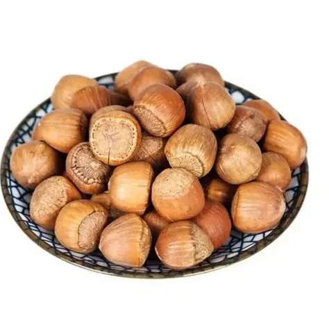 Natural Taste Quality Blanched Hazelnuts/ Organic Hazel Nuts OEM shell Box Style Packaging hazelnut shell