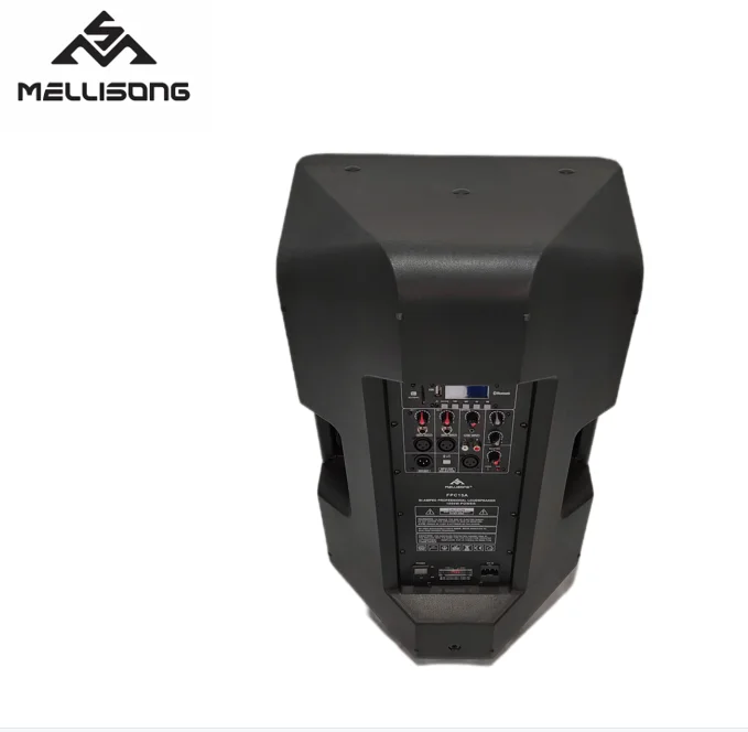 Professional Powered 500-watt 15-inch two-way plastic Active Speaker FPM15AD With bluetooth and MP3, SD, USB OEM/ODM