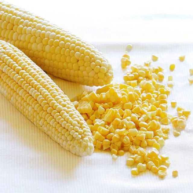 Dried yellow sweet yellow corn, Yellow Maize Wholesale