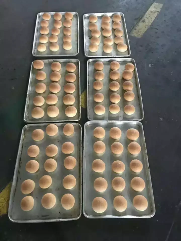 Single deck gas industrial oven for baking cupcakes Bread pizza HJ-HTR101C