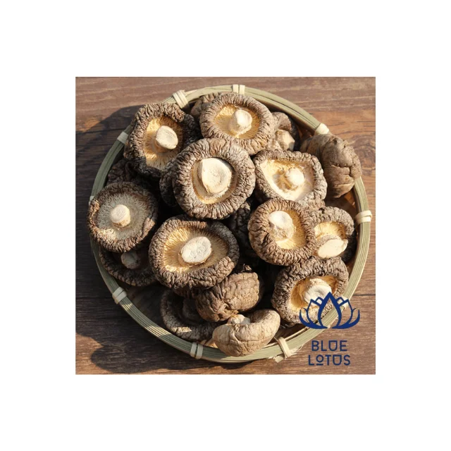 Органические сушеные грибы Shiitake