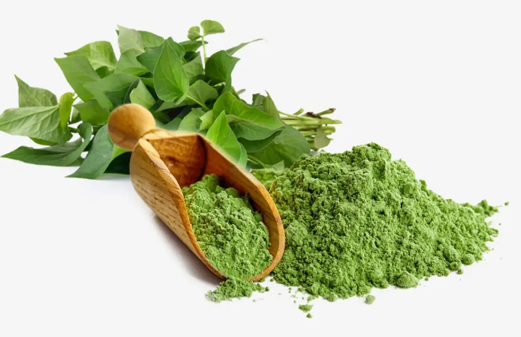 Top Quality Organic Powder Lettuce Extract Wholesale Price Food Additive