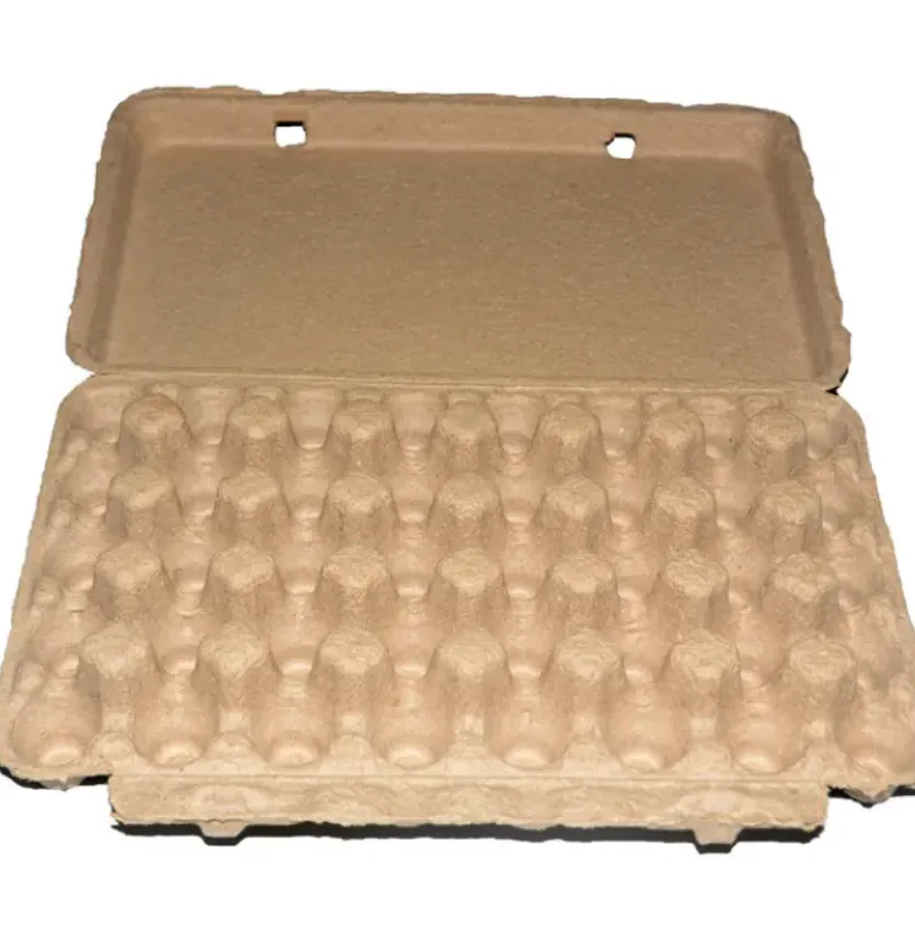 Eggs Packaging Box Cartons Egg Trays Chicken Paper Pulp Bagasse Pulp Egg Tray Cheap Price