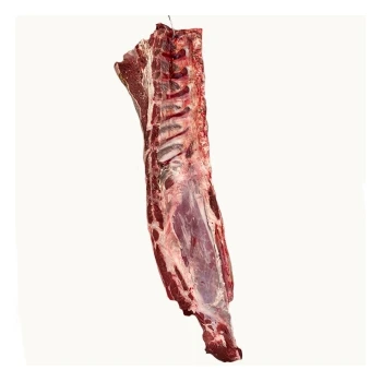 V. B.A.C. PGI Meat for export Chianina bovine whole loin fresh meat beef food