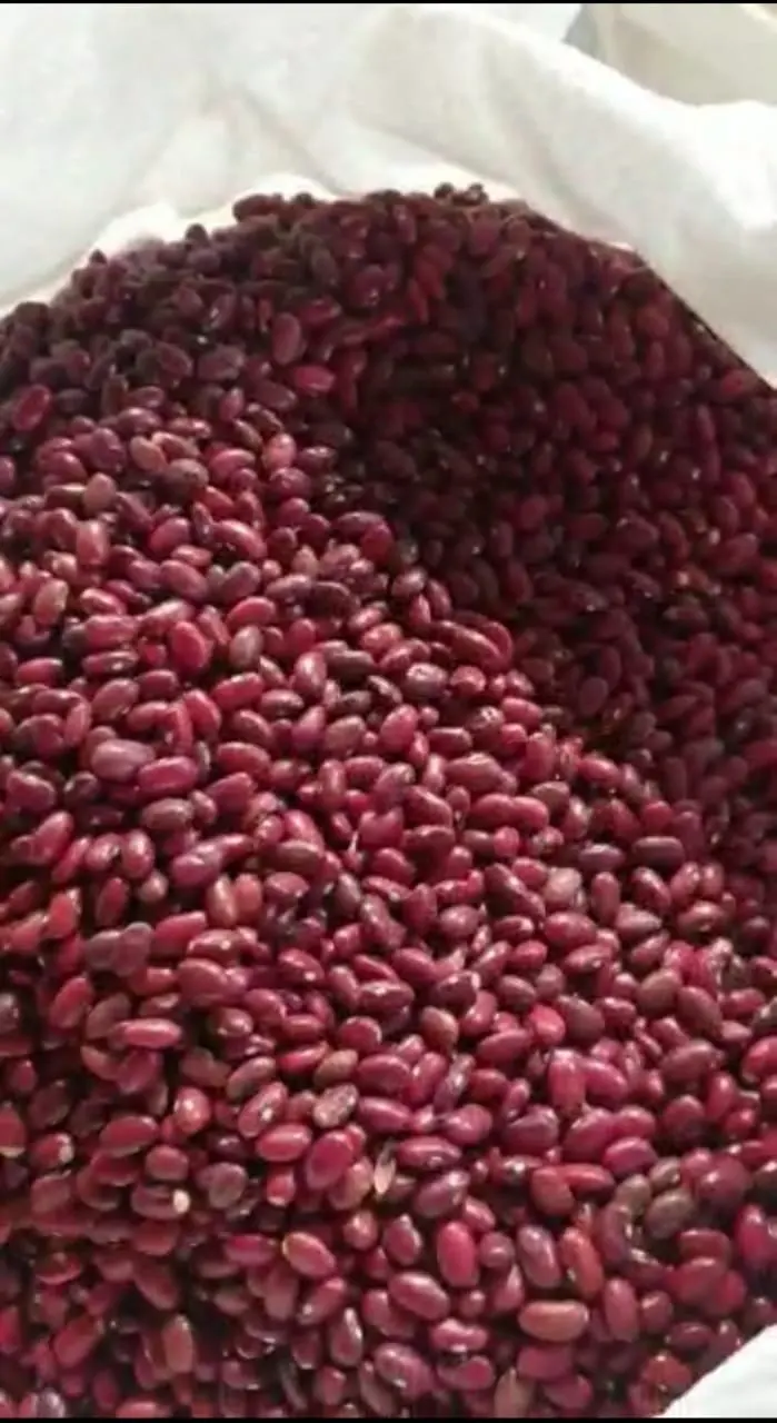 Where to buy Red kidney beans in wholesale price | Order bulk Red kidney beans now