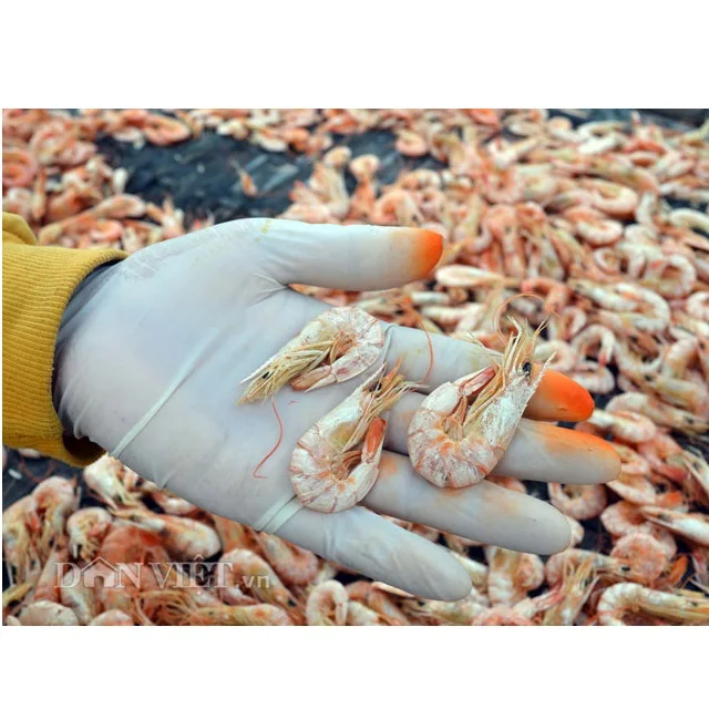 100% Natural Fresh Shrimp Ingredients Dried Seafood Freeze Dried Shrimp With Vacuum Pack From Vietnam
