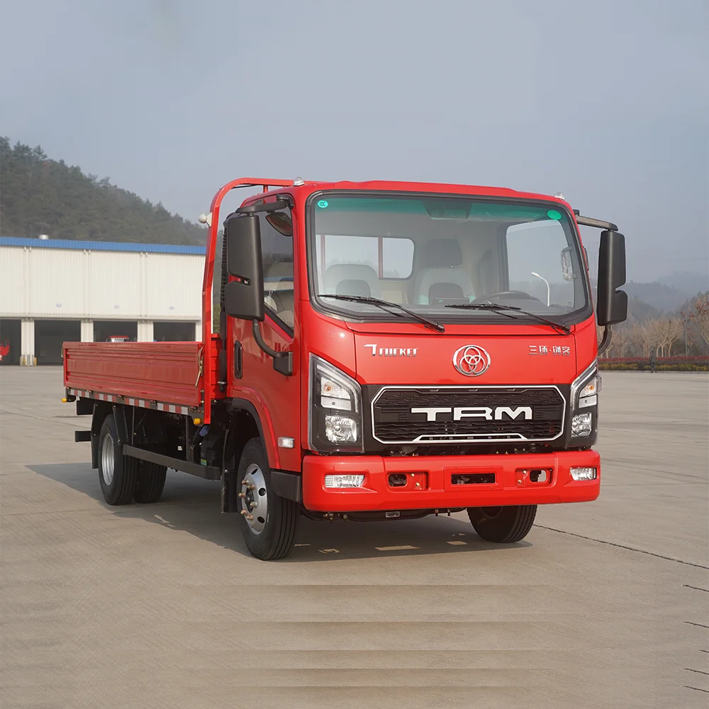 TRI-RING 4 * 2 Truck Box Type Cargo Truck, Urban Logistics Delivery Truck