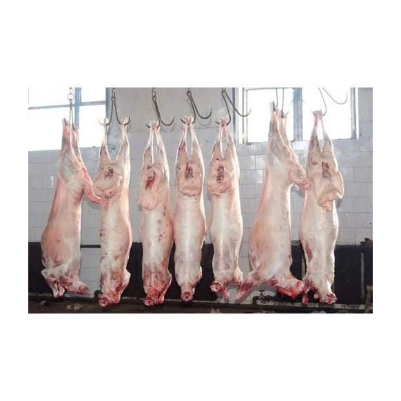 Цельная распродажа высококачественного Свежего Замороженного Мяса ягненка/халяльная баранина для продажи замороженного мяса ягненка высшего