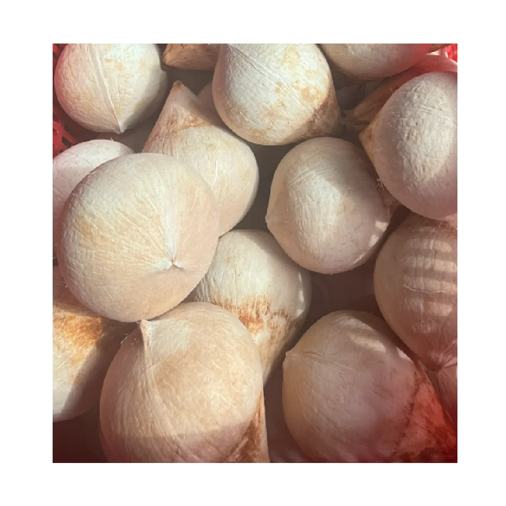 Wholesale Coconut Water Tropical High Quality Semi-Husked Siames Type Cheap Fresh Coconuts Vietnam Wholesale Whole Style