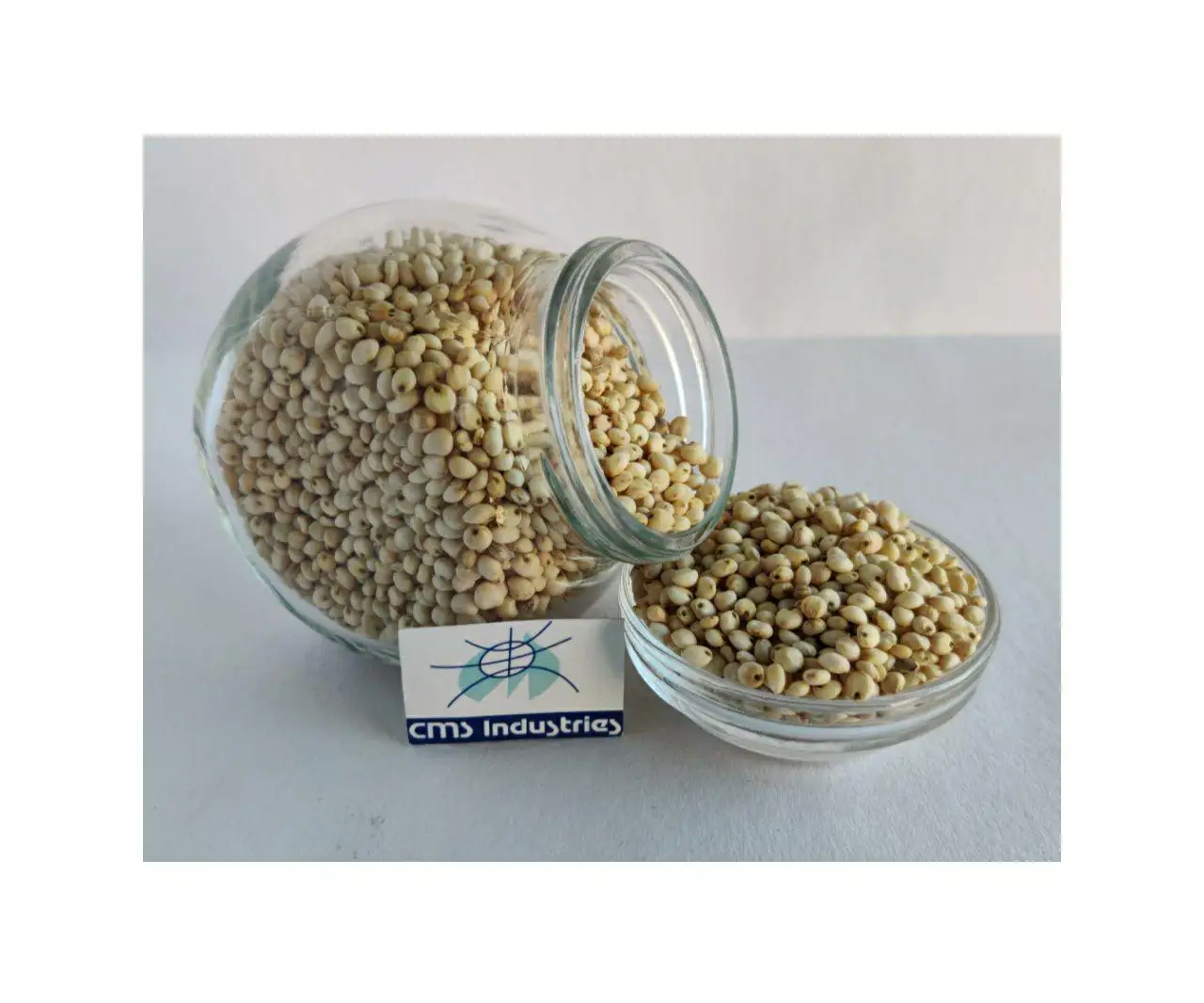 Indian Product Exclusive Quality Sorghum for Bird