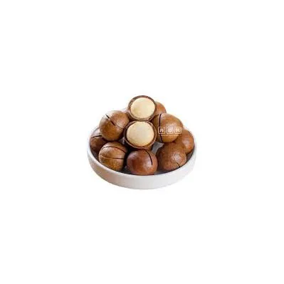 Wholesale Highest Grade Walnut With Shell and Without Shell in Bulk Dried Organic Walnut Available for Sale at Best Price