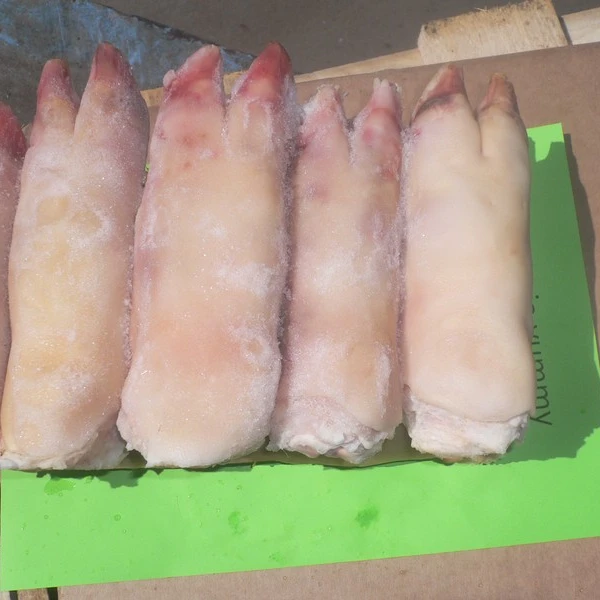 HIGH QUALITY FROZEN PIG PORK MEAT FRONT HIND FEET / LEG / READY FOR SHIPMENT