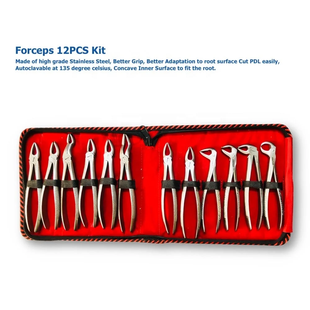 Hot Selling 1 Premium Export Quality Dental Instruments Adult Tooth Extracting Forceps Tooth Extracting Forceps