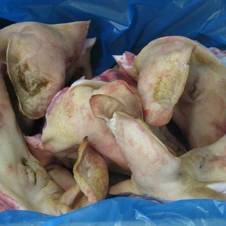 FROZEN PORK MEAT / PIG HEAD / BELLY / FEET / RIB / BRAZIL ORIGIN