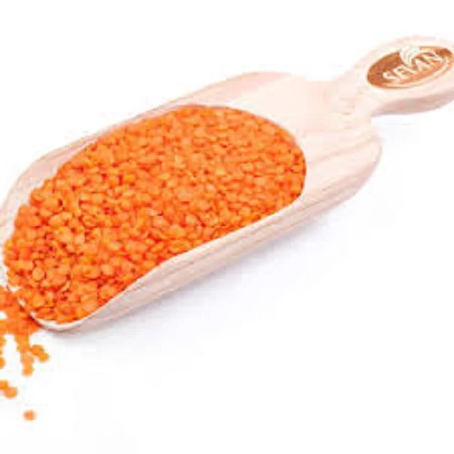 Best quality Red Lentils for sale/ food industry and cooking wholesale prices beans grains seeds for sale