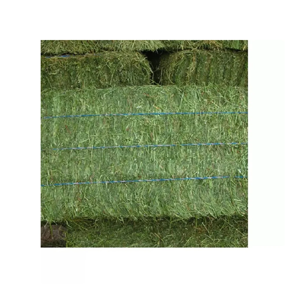 Quality alfalfa hay bays / Alfafa pellets / Dehydrated Alfalfa cubes timothy hay