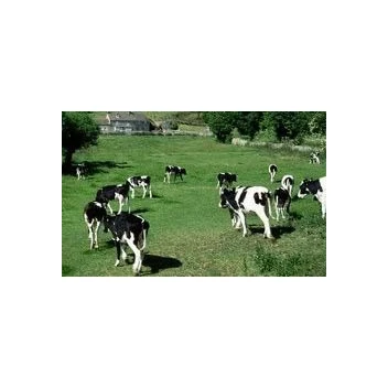 Foton 4-6m Livestock Transport Trailer General Livestock Trailer Animal Transport Cargo Truck Animal Feed