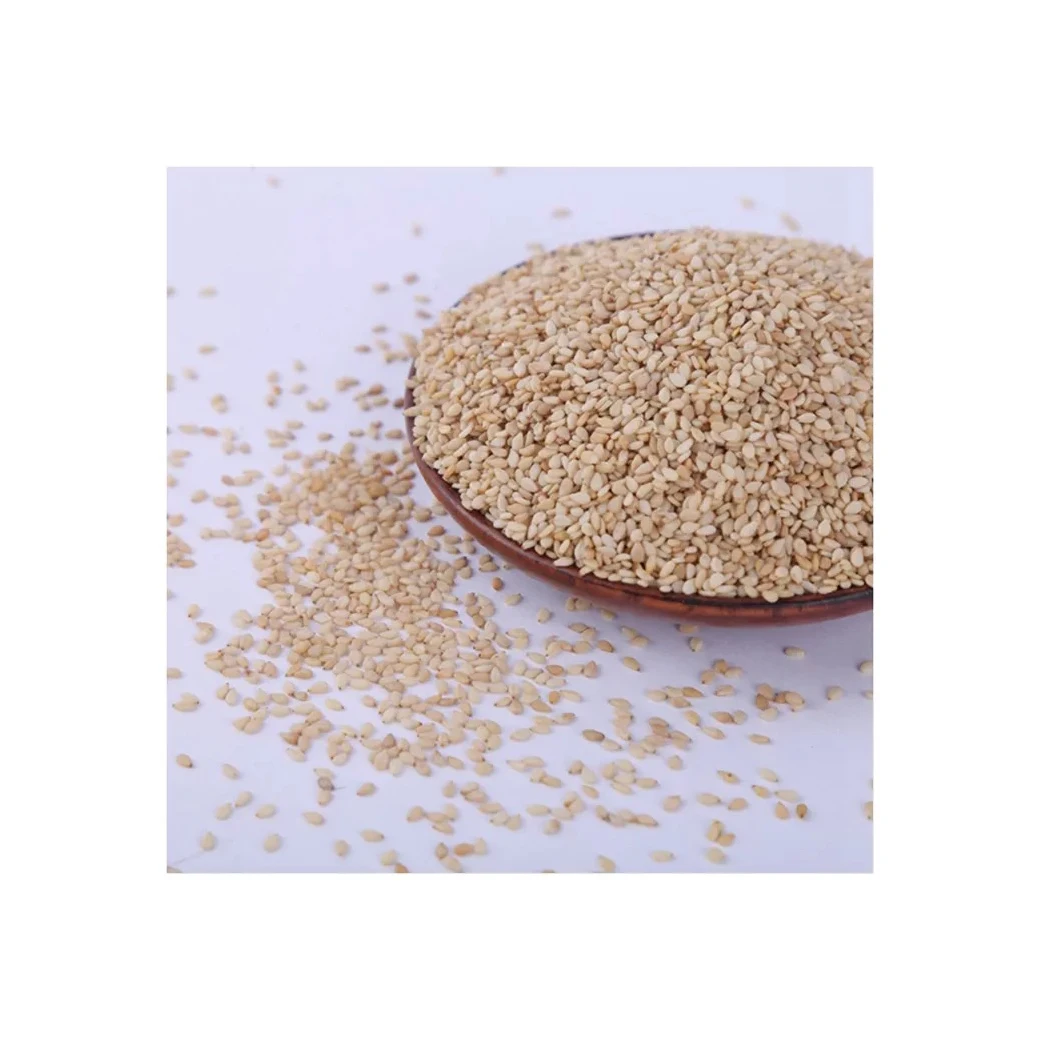 White Sesame SEEDS Origin Sesame Oil Seed Agricultural