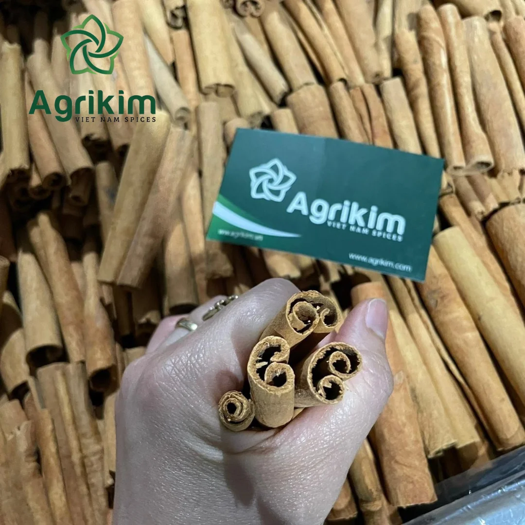 High Quality Cassia Cinnamon from Vietnam +84363565928