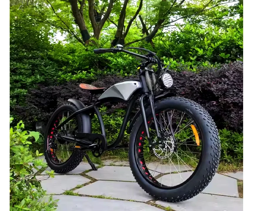 full suspension electric urban bicycle with 20*4.0 inch fat tire e-bike 1000W powerful strong snow beach bike for sales