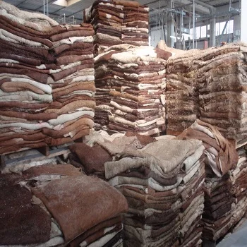 High Quality Raw Wet Salted Cow Hides