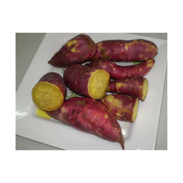 cheap price viet nam Sweet potato new harvest crop fresh customized size orange purple top quality  best seller wholesale delic