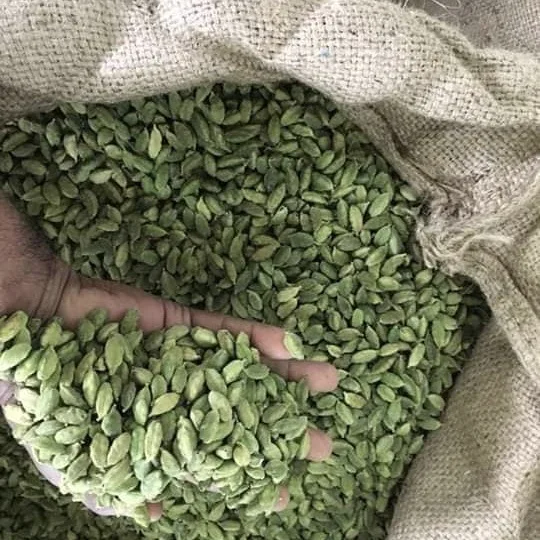 Wholesale Cardamom Green High Quality Cardamom / Dried Green Cardamon