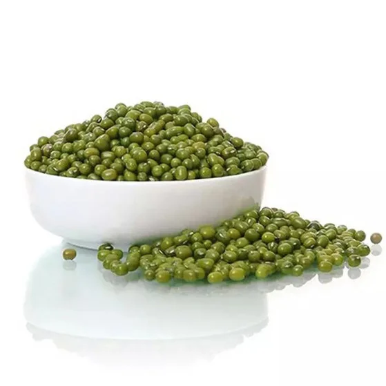 Best choice and best discounts Green Bean Machine Cleaned Premium Grade Green Mung Beans Exporter