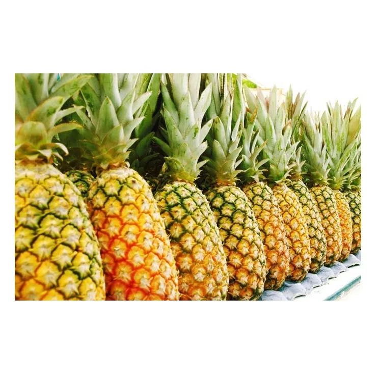 Export Quality Fresh Sweet Pineapples Available
