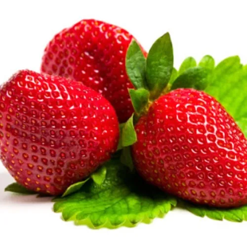 Wholesale Price Supplier of Fresh Fruit Berries Bulk Stock With Fast Shipping
